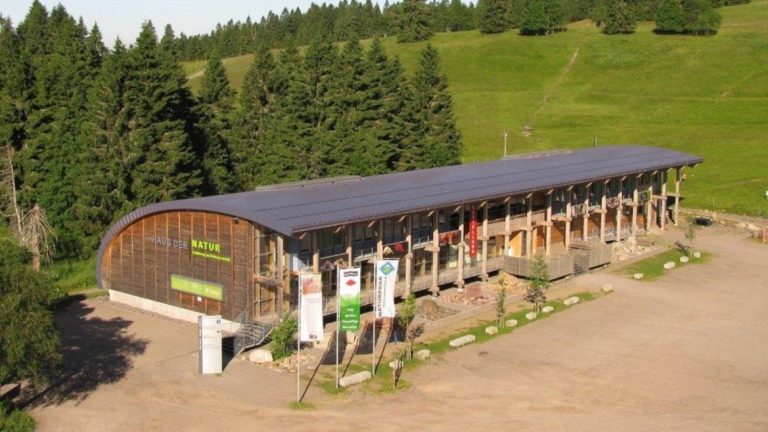 Zwei Kletterer im Indoor Hochseilpark vom Freizeitpark Fundorena