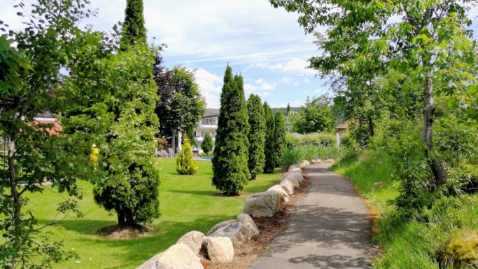 Pfad durch einen grünen Park, umgeben von Bäumen und Sträuchern. Sonniger Himmel.