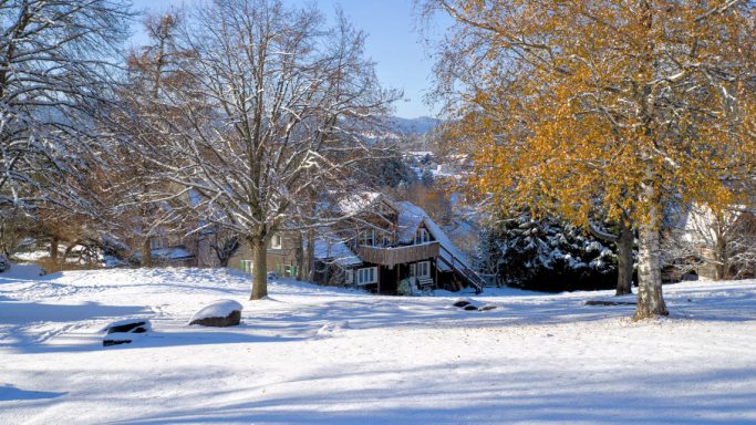 Schneebedeckte Landschaft mit Bäumen und Hügeln im Winter.