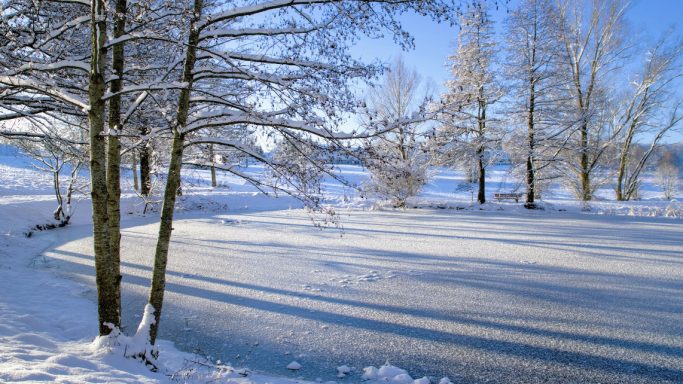 Schneebedeckter See umgeben von Bäumen an einem klaren Wintertag.