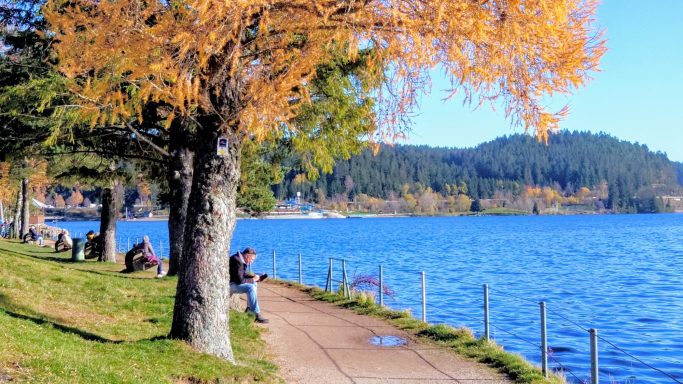 Herbstlandschaft am See mit Bäumen, Uferweg und Menschen, die entspannen.